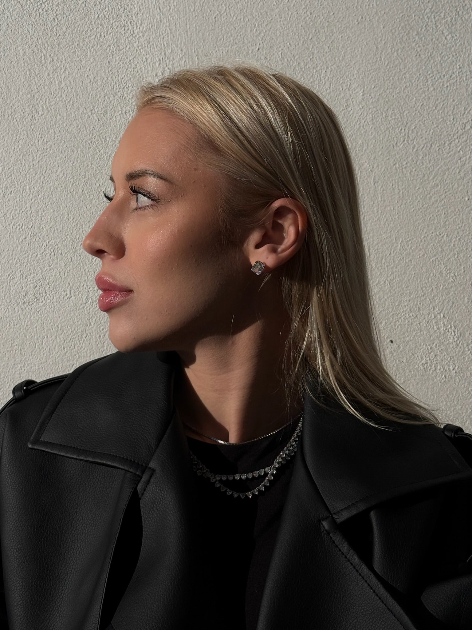 The Monaco Stud sterling silver diamond alternative earrings Viviana Halil